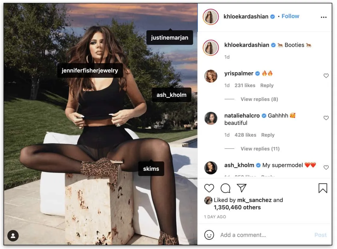 brand ambassador vs influencer examples