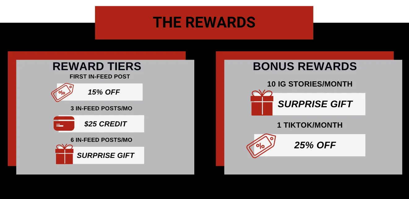 brand ambassador programs rewards explained