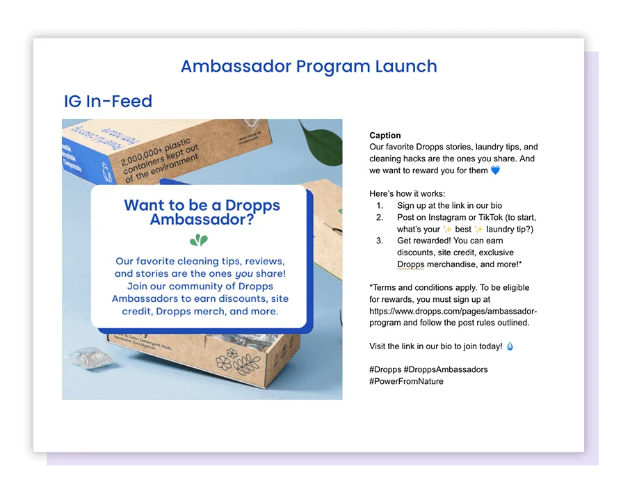 Ambassador Program Launch on Instagram