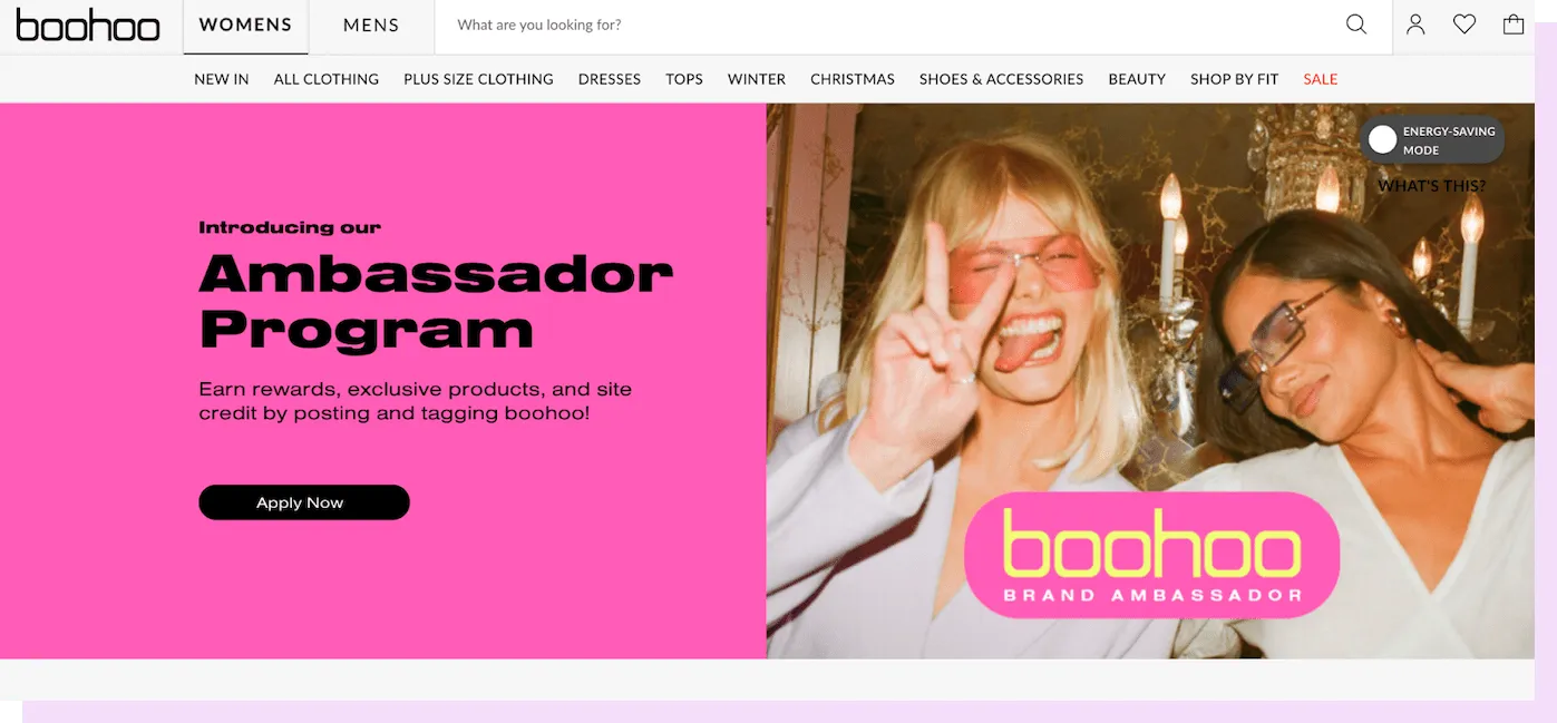 sample brand ambassador program and influencer program featuring boohoo