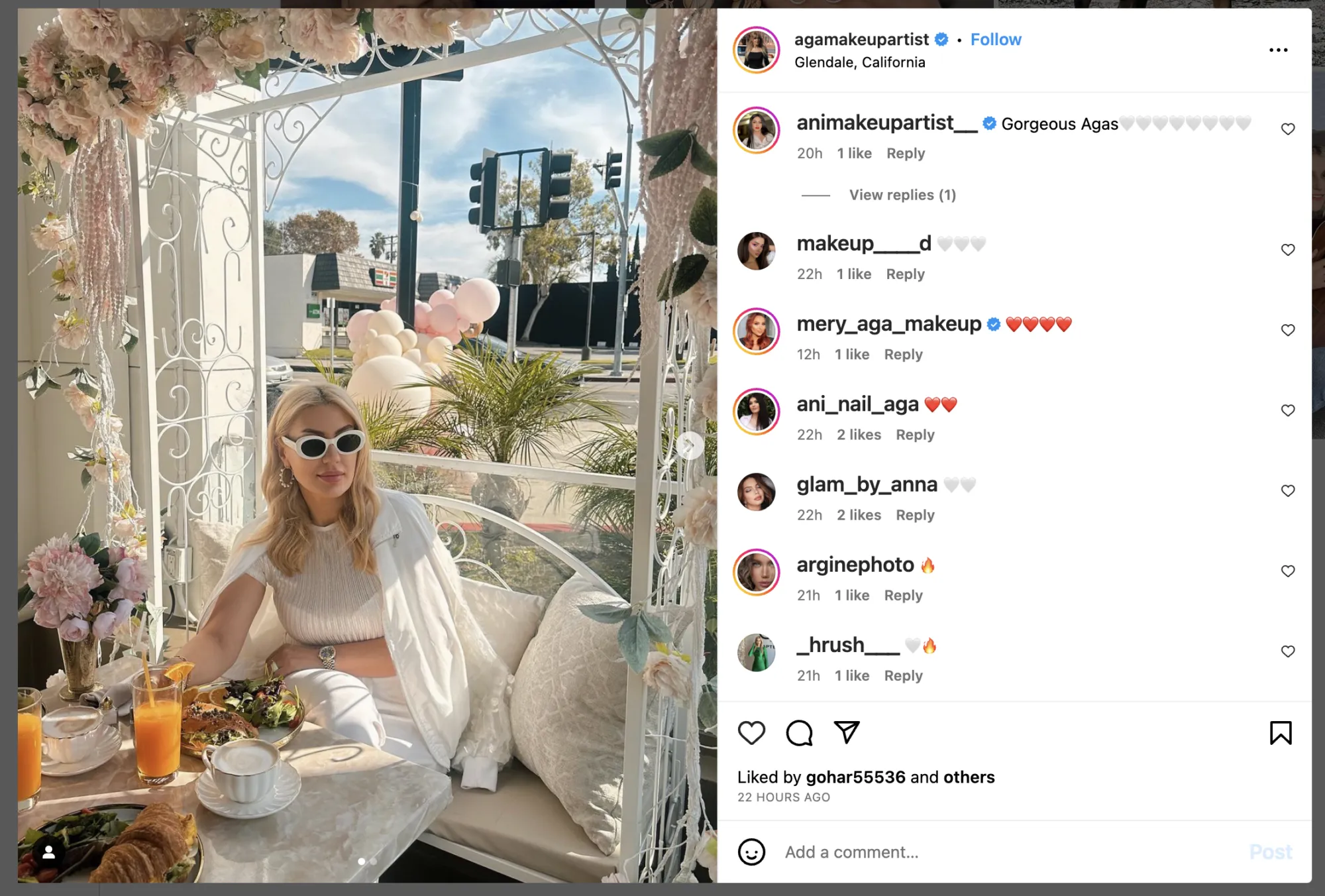 agamakeupartist post with comments only using emojis raises red flags